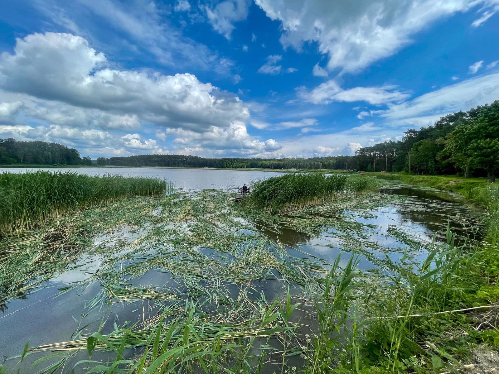 Kosiarka pływająca Truxor – realizacja