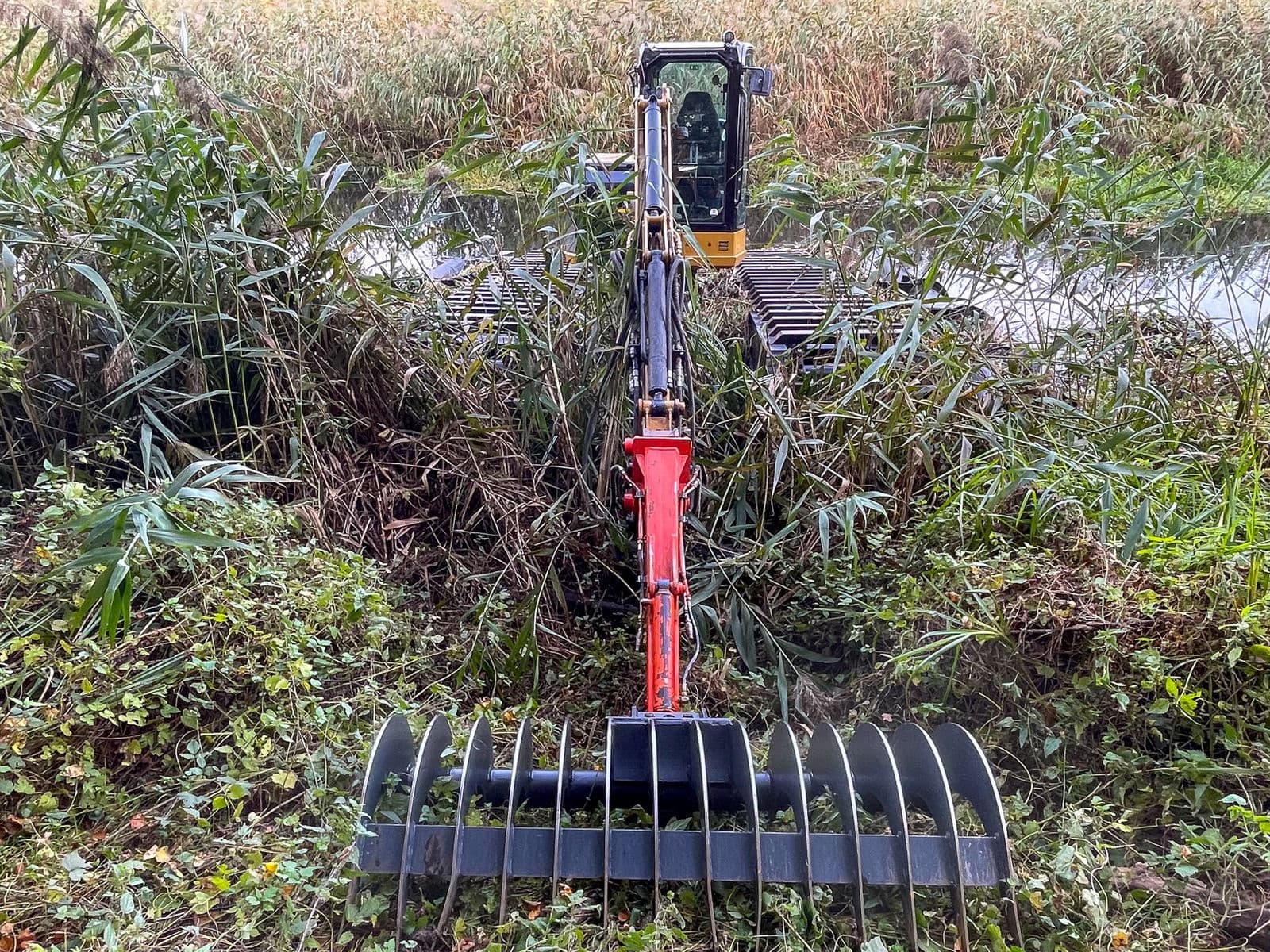 Koparka pływająca w trzcinie