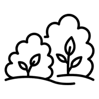 Symboliczna ikona przedstawiająca skupisko gęstych krzaków – scena związana z mulczowaniem zakrzaczeń na zarośniętym terenie