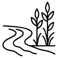 Symboliczna ikona przedstawiająca linię brzegową z roślinnością – oczyszczanie brzegów rzek i zbiorników z zarośli i roślin wodnych