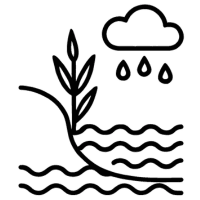 Ikona przedstawiająca odbudowę retencji wodnej – roślinność, opad i wody powierzchniowe w uproszczonym krajobrazie.