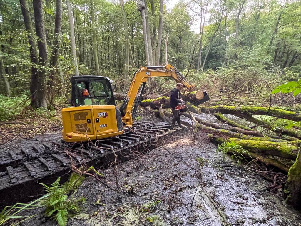 Koparka gąsienicowa pracująca w grząskim, leśnym terenie podczas usuwania powalonych drzew.